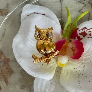 D’orlan Owl Perched on Branch Brooch